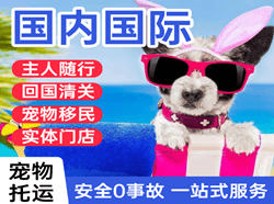 西安机场托运国际宠物托运 【国